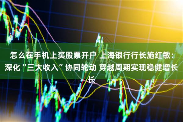 怎么在手机上买股票开户 上海银行行长施红敏：深化“三大收入”协同轮动 穿越周期实现稳健增长