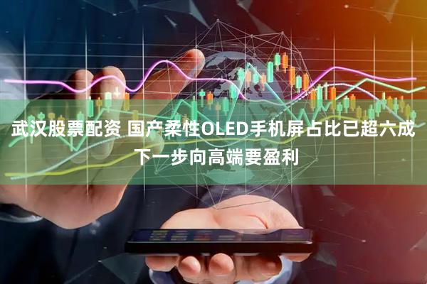 武汉股票配资 国产柔性OLED手机屏占比已超六成 下一步向高端要盈利