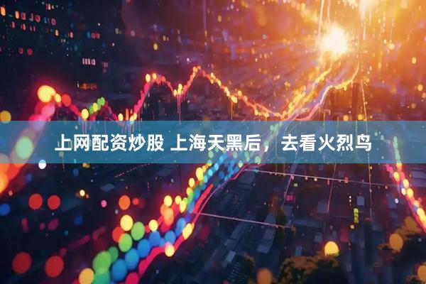 上网配资炒股 上海天黑后，去看火烈鸟
