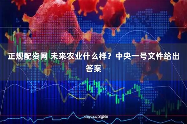 正规配资网 未来农业什么样？中央一号文件给出答案