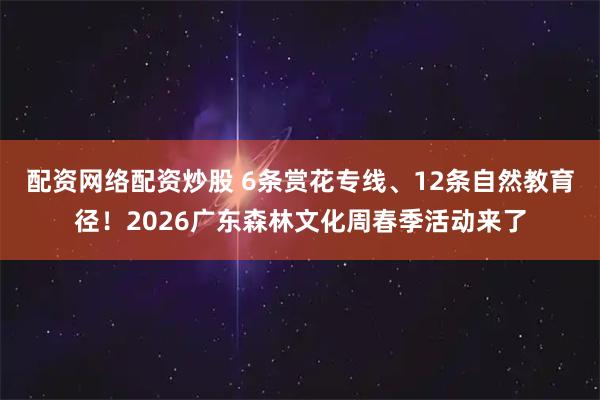 配资网络配资炒股 6条赏花专线、12条自然教育径！2026广东森林文化周春季活动来了