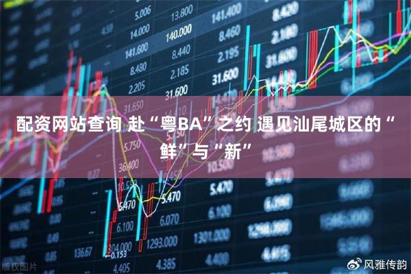 配资网站查询 赴“粤BA”之约 遇见汕尾城区的“鲜”与“新”